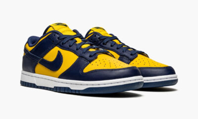 Nike Dunk Low Michigan (GS)