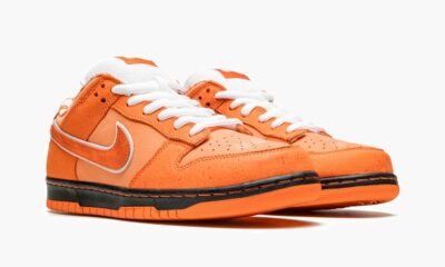Nike dunk low Concepts  Orange Lobster